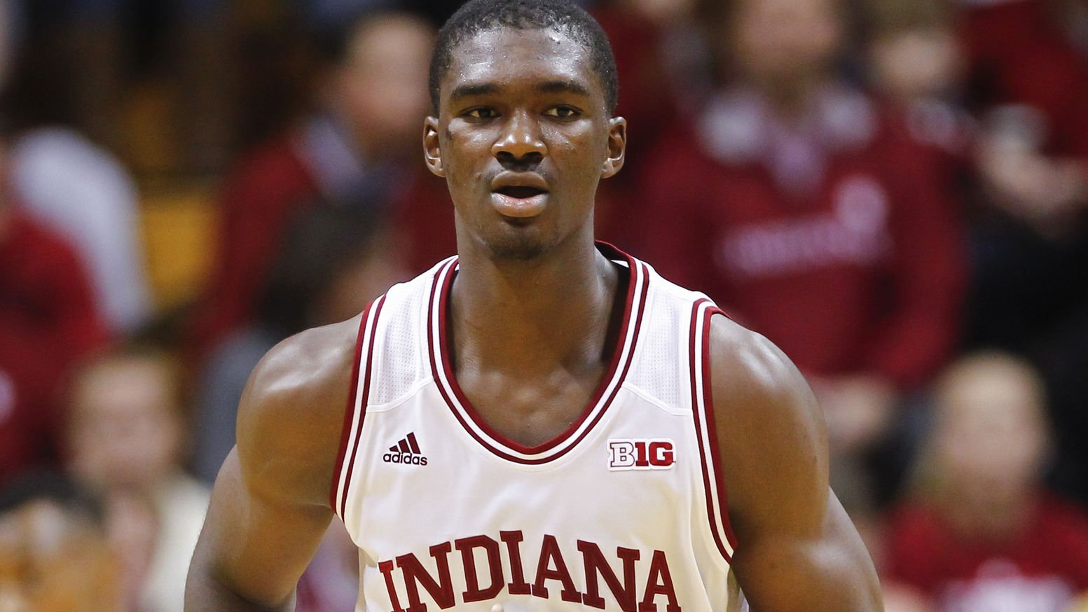 Noah Vonleh - NBA News, Rumors, & Updates